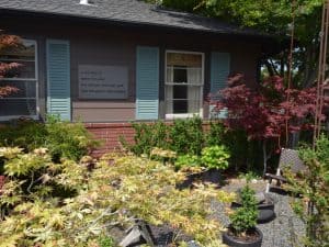 Garden Explorer Wristband