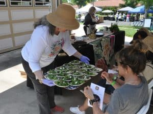 "Brunch in the Garden" Culinary Demonstration (Limited Seating)