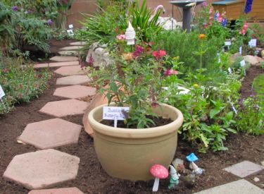 Gardens & Backyards – Open Garden Day